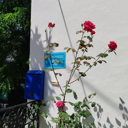 Η Ελπίδα Και Η Γιάννα Ξεκίνησαν Ένα Χώρο Cute Leilighet Volos Eksteriør bilde